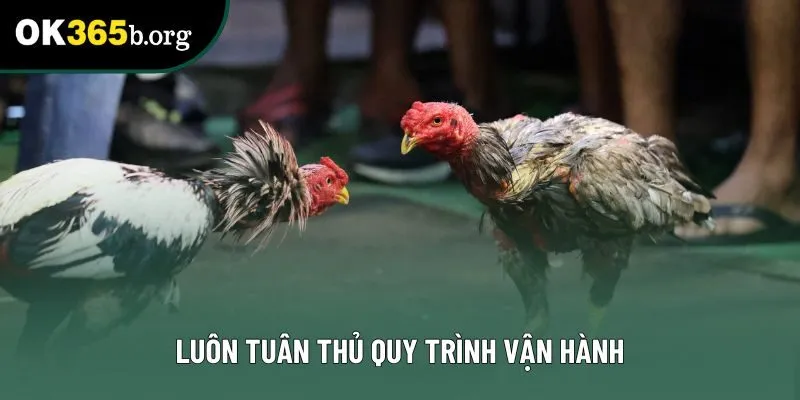 Luôn tuân thủ quy trình vận hành Luôn tuân thủ quy trình vận hành